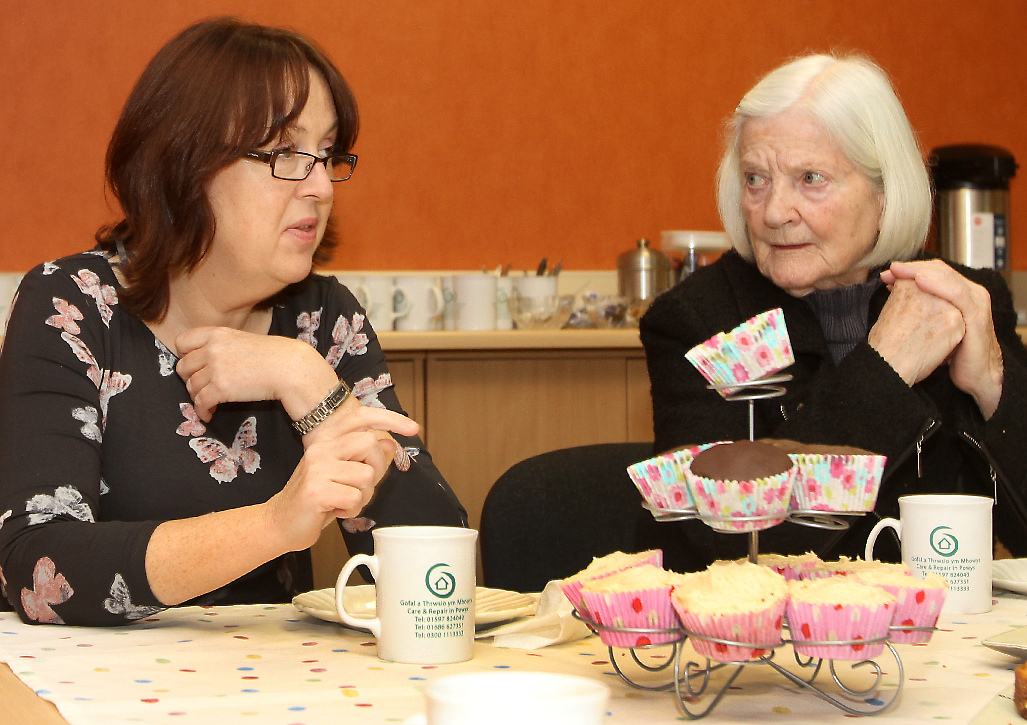 Tea Party Older Peoples Commission