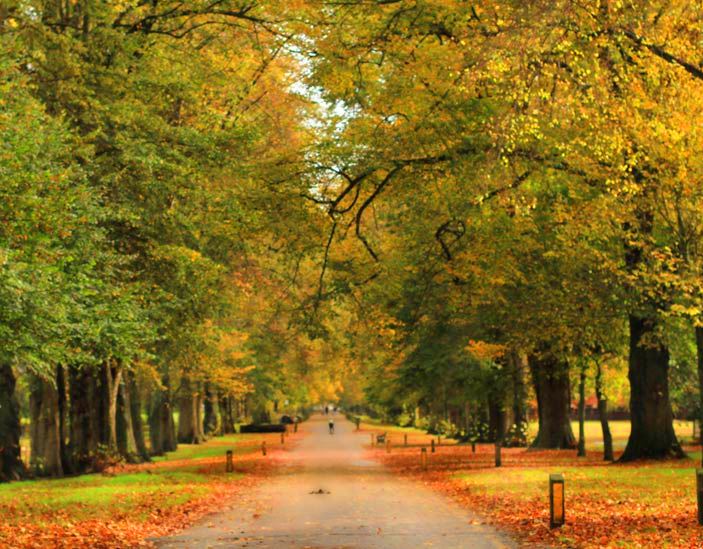 Cardiff autumn
