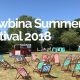 Rhiwbina Summer Festival