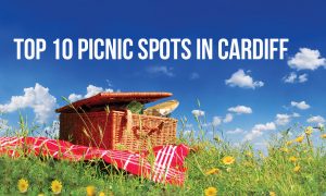 top ten picnic spots in cardiff