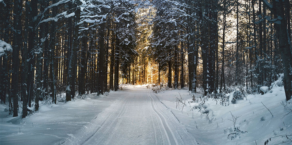 winter-traditions