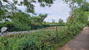 rhiwbina-railway-cutting