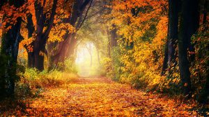 autumn-short-story