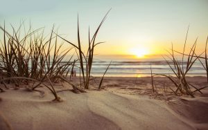 summer-reset