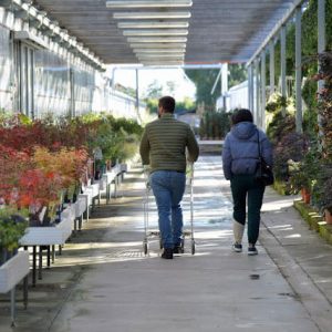 Garden Centres