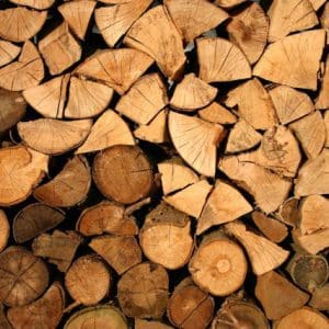 Tree Surgeons