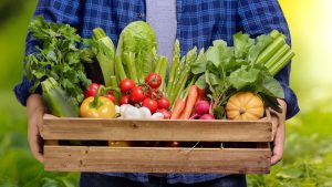 grow-your-own-vegetables