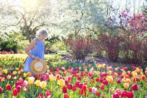 spring