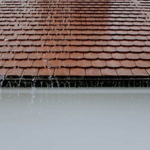 Gutter Cleaning